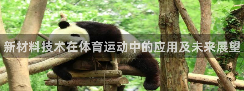 悟空体育莆田鞋怎么样：新材料技术在体育运动中的应用及未来展望