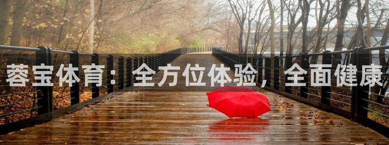 关键词