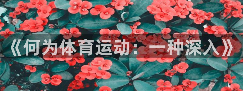 悟空体育官网快速入口：《何为体育运动：一种深入》
