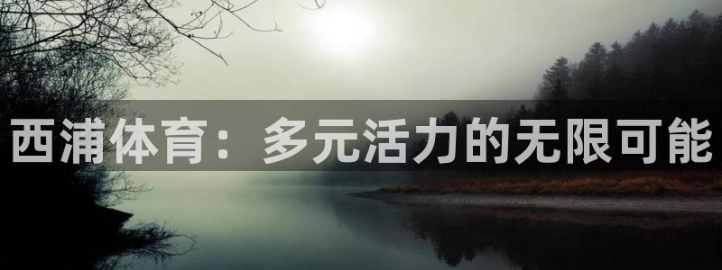 悟空体育app