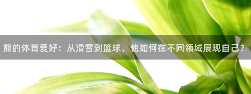 悟空体育app官方网站：熊的体育爱好：从滑雪到篮球，他如何在不同领域展现自己？