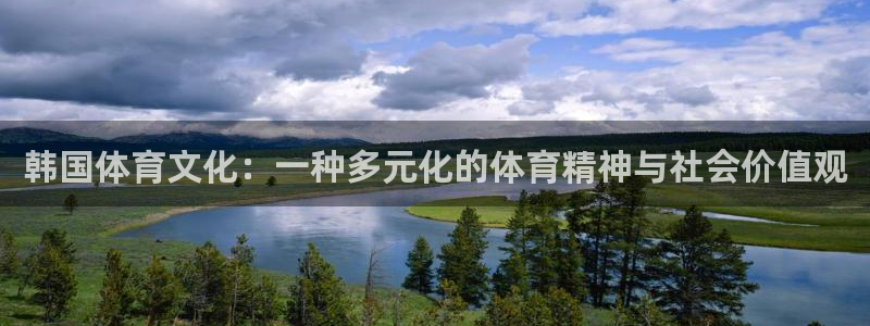 悟空体育莆田鞋：韩国体育文化：一种多元化的体育精神与社会价值观
